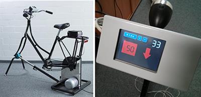 BrainCycles: Experimental Setup for the Combined Measurement of Cortical and Subcortical Activity in Parkinson's Disease Patients during Cycling